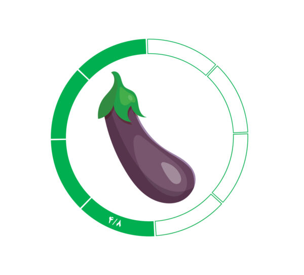 بادمجان 8 / 4 بادمجان 8 / 4
