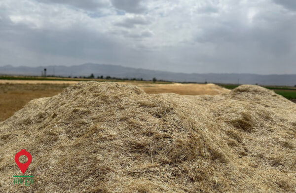 باغ بازار کاه گندم جنوب - مشارکتی باغ بازار کاه گندم جنوب - مشارکتی