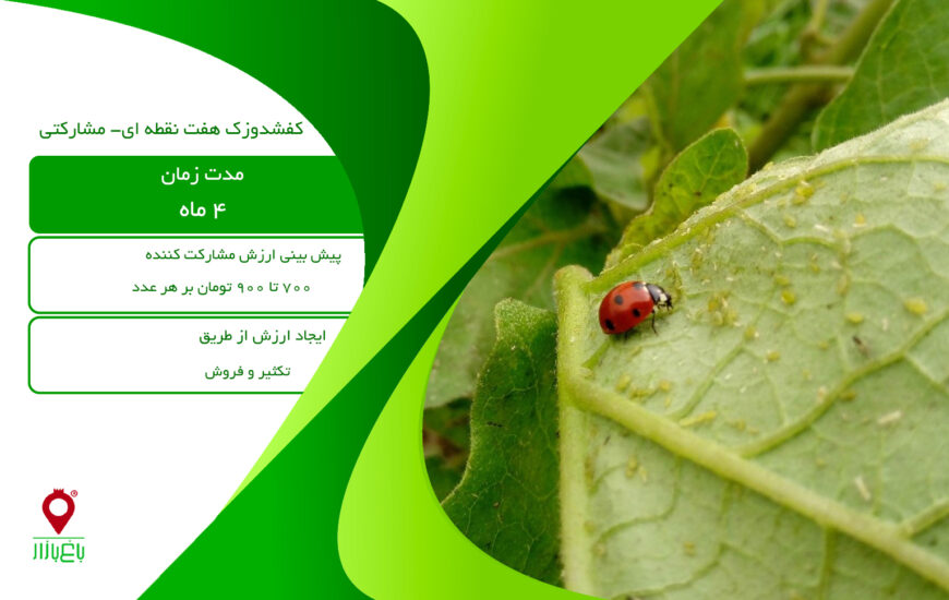 کفشدوزک هفت نقطه ای - مشارکتی