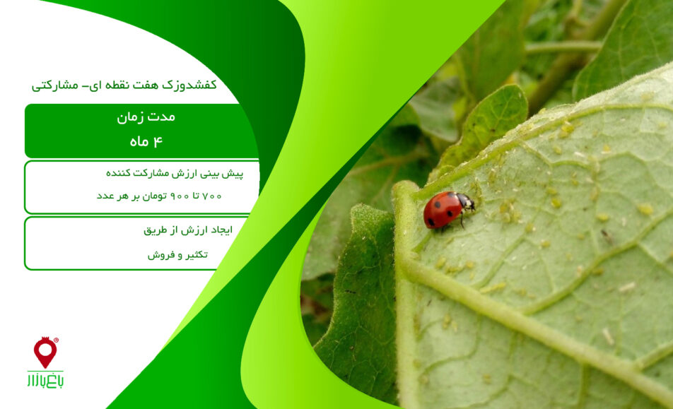 کفشدوزک هفت نقطه ای - مشارکتی