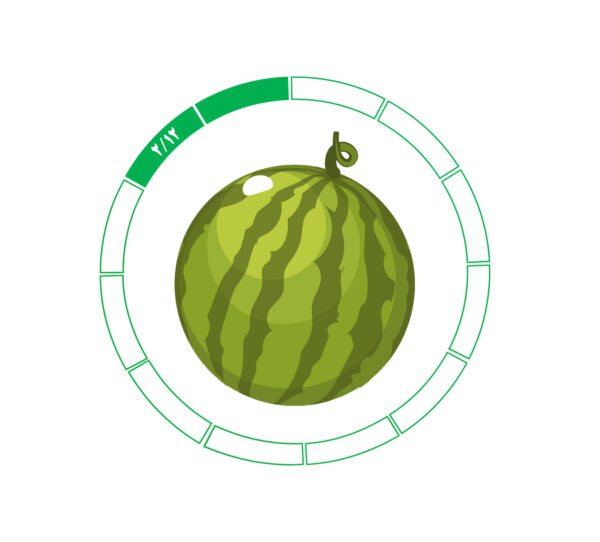 هندوانه 2/12 هندوانه 2/12