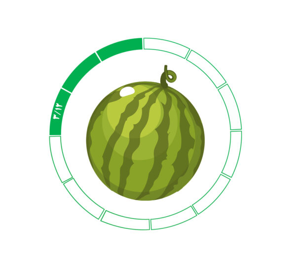 هندوانه 3/12 هندوانه 3/12