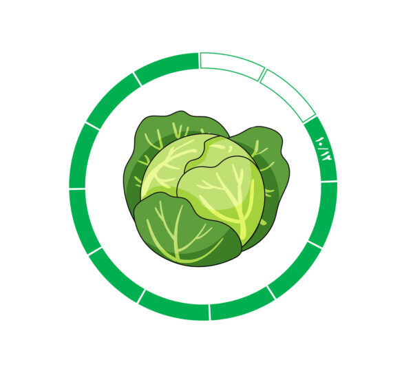 کلم 11/12 کلم 11/12