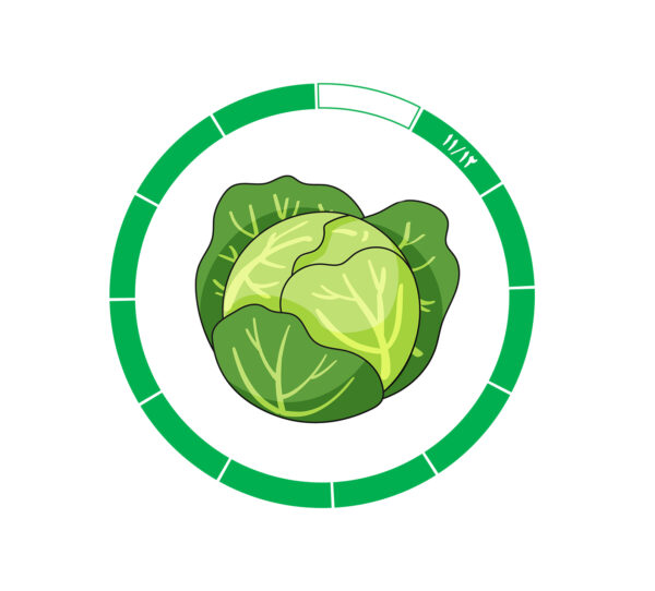 کلم 11/12 کلم 11/12