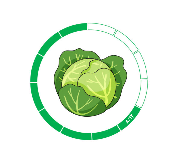 کلم 8/12 کلم 8/12