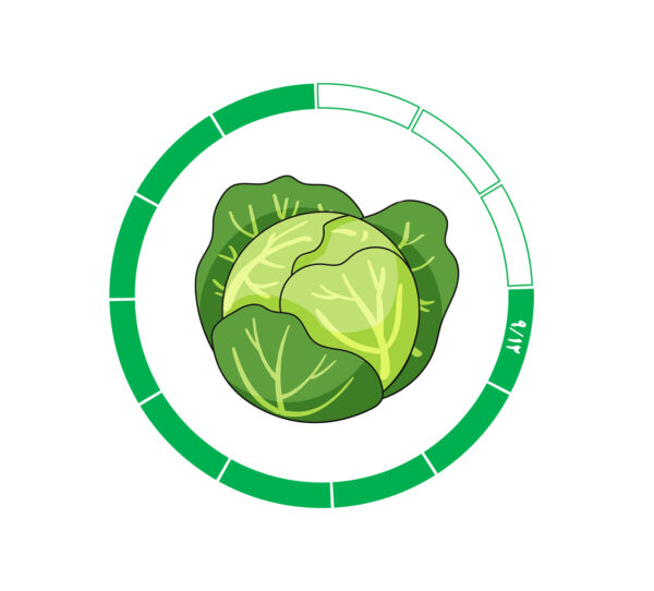 کلم 9/12 کلم 9/12