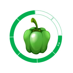 فلفل دلمه 6/8