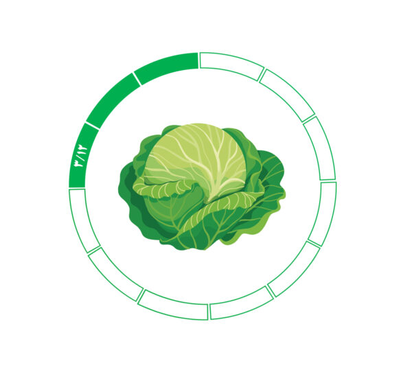 کلم 3/12 کلم 3/12