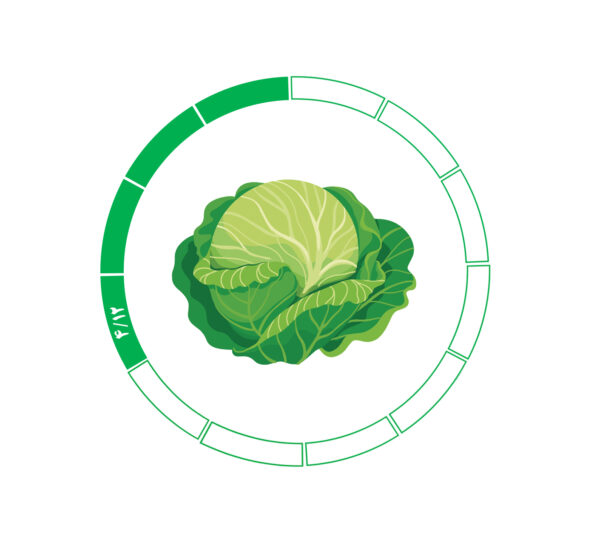 کلم 4/12 کلم 4/12