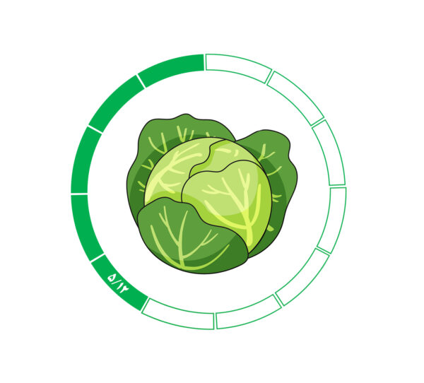 کلم 5/12 کلم 5/12