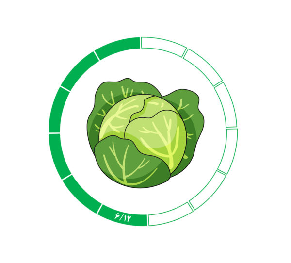 کلم 6/12 کلم 6/12