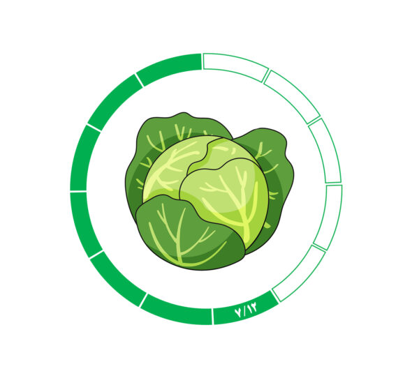 کلم 7/12 کلم 7/12