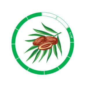 خرما کلوته 10/12