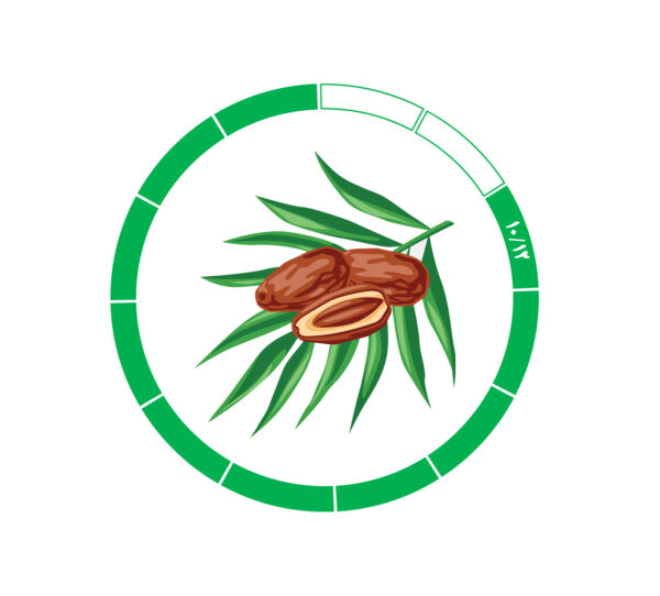 خرما کلوته 10/12