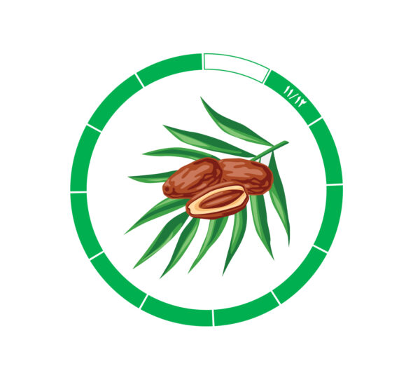 خرما کلوته 11/12 خرما کلوته 11/12