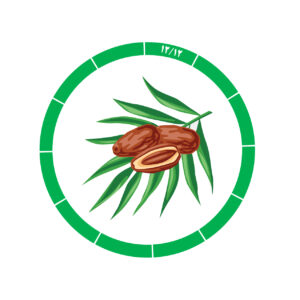 خرما کلوته 12/12