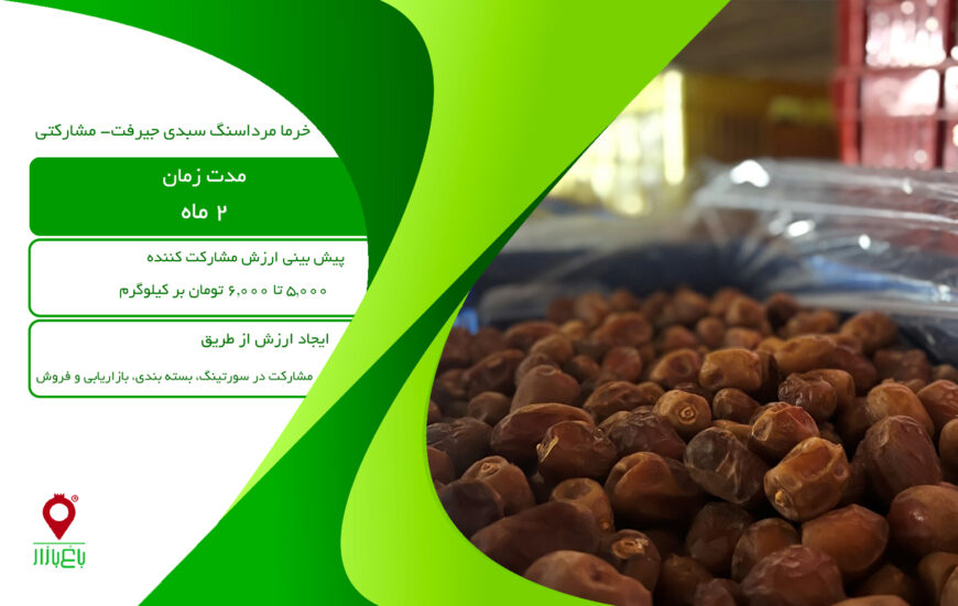 خرما مرداسنگ سبدی جیرفت-مشارکتی