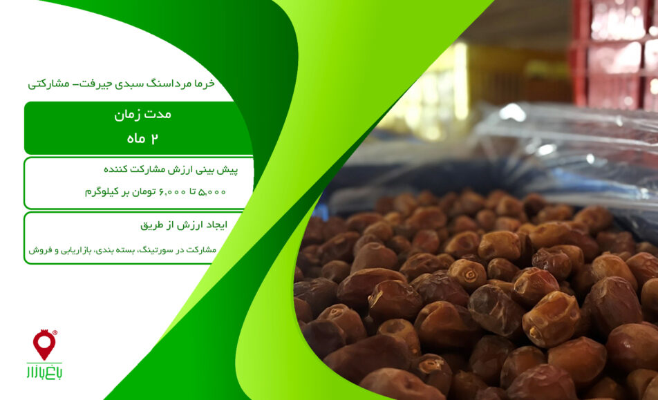 خرما مرداسنگ سبدی جیرفت-مشارکتی
