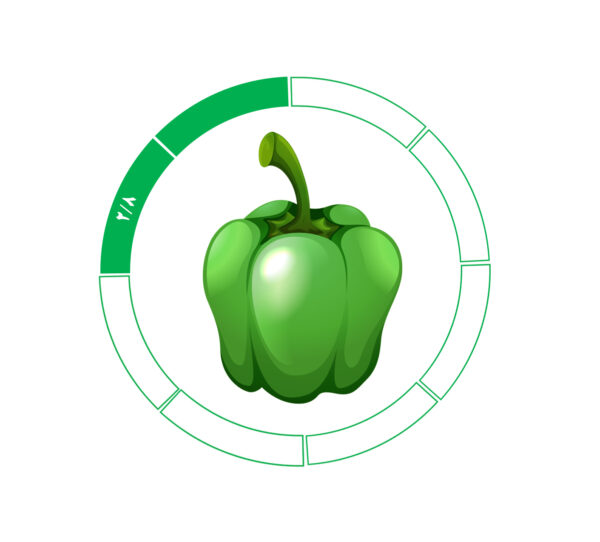 فلفل دلمه 2/8 فلفل دلمه 2/8