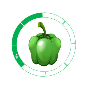 فلفل دلمه 3/8