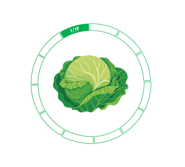 کلم 1/12 کلم 1/12