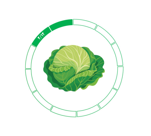 کلم 2/12 کلم 2/12