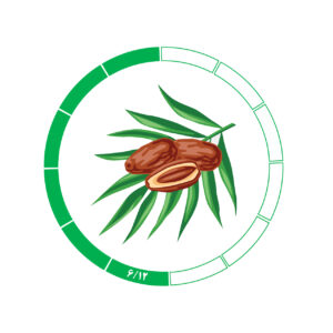 خرما کلوته 6/12