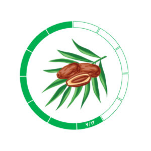 خرما کلوته 8/12