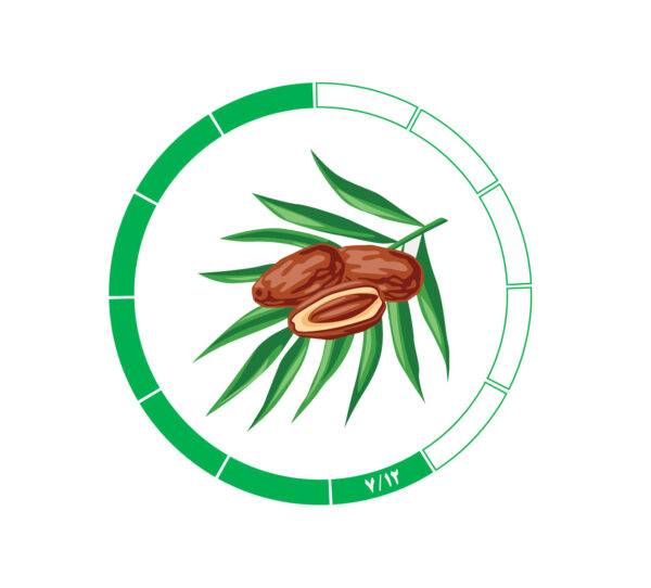خرما کلوته 8/12 خرما کلوته 8/12