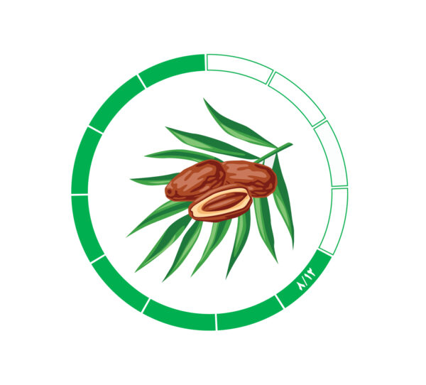 خرما کلوته 8/12 خرما کلوته 8/12