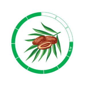 خرما کلوته 9/12