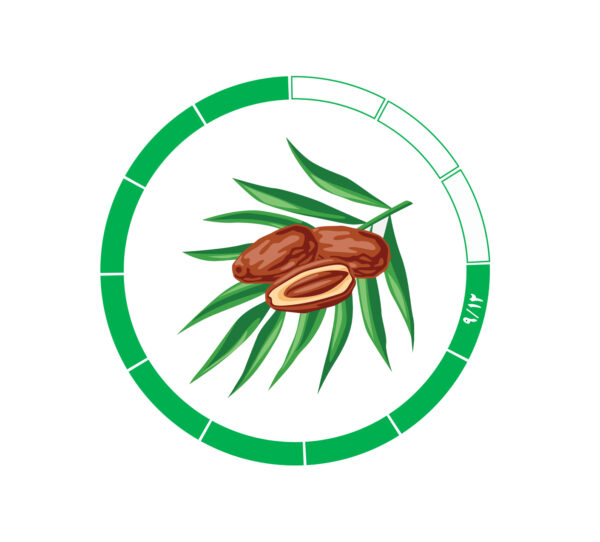 خرما کلوته 9/12 خرما کلوته 9/12