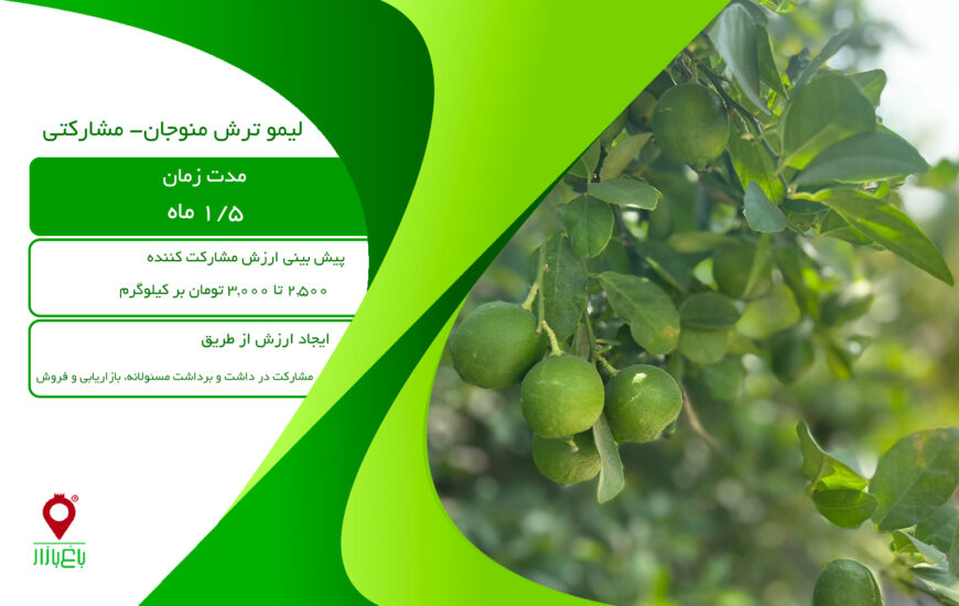 لیمو ترش منوجان مشارکتی