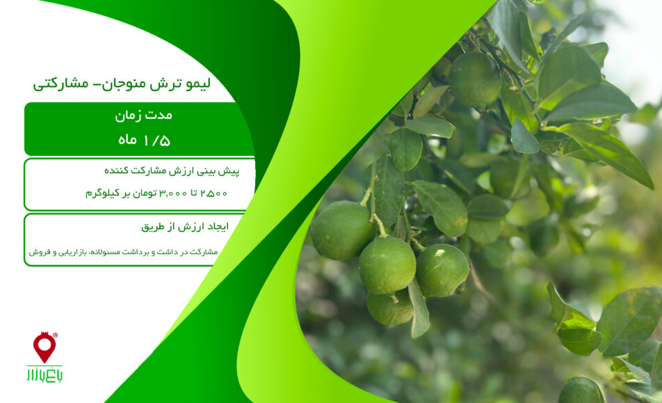 لیمو ترش منوجان مشارکتی