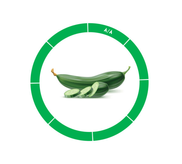 خیار صادراتی 8/8 خیار صادراتی 8/8