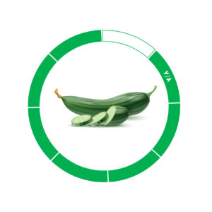 خیار صادراتی 7/8