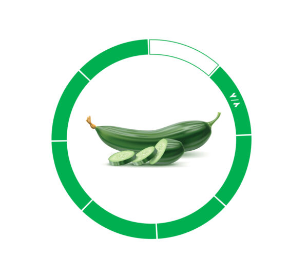 خیار صادراتی 7/8