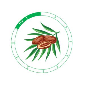 خرما کلوته 2/12