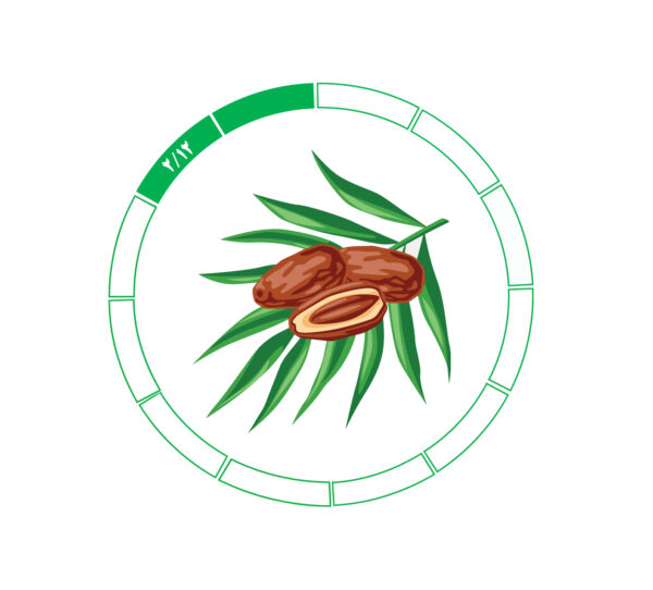 خرما کلوته 2/12 خرما کلوته 2/12