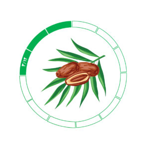 خرما کلوته 3/12