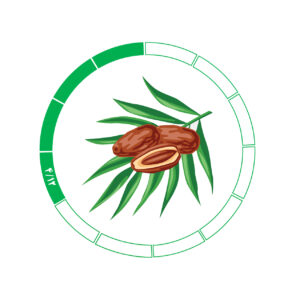 خرما کلوته 4/12
