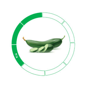 خیار صادراتی 3/8