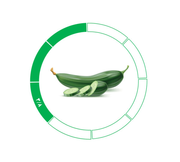 خیار صادراتی 3/8