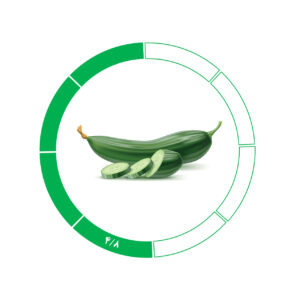 خیار صادراتی 4/8