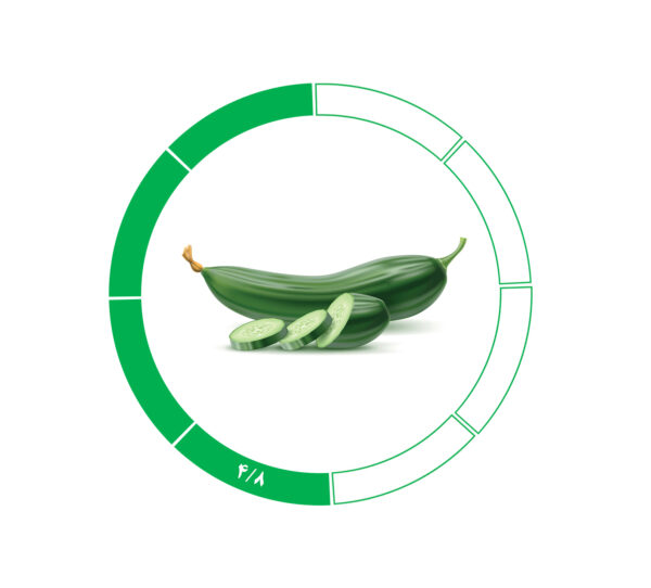 خیار صادراتی 4/8