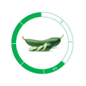 خیار صادراتی 5/8