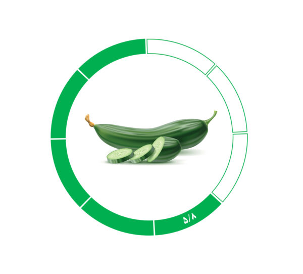 خیار صادراتی 5/8