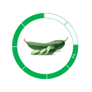 خیار صادراتی 6/8