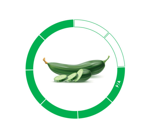 خیار صادراتی 6/8 خیار صادراتی 6/8