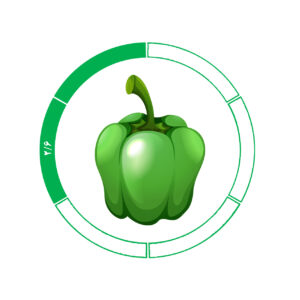 فلفل دلمه 2/6